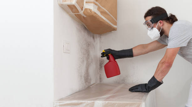 Professional Bathroom Mold Removal technician working in Saint Benedict, PA